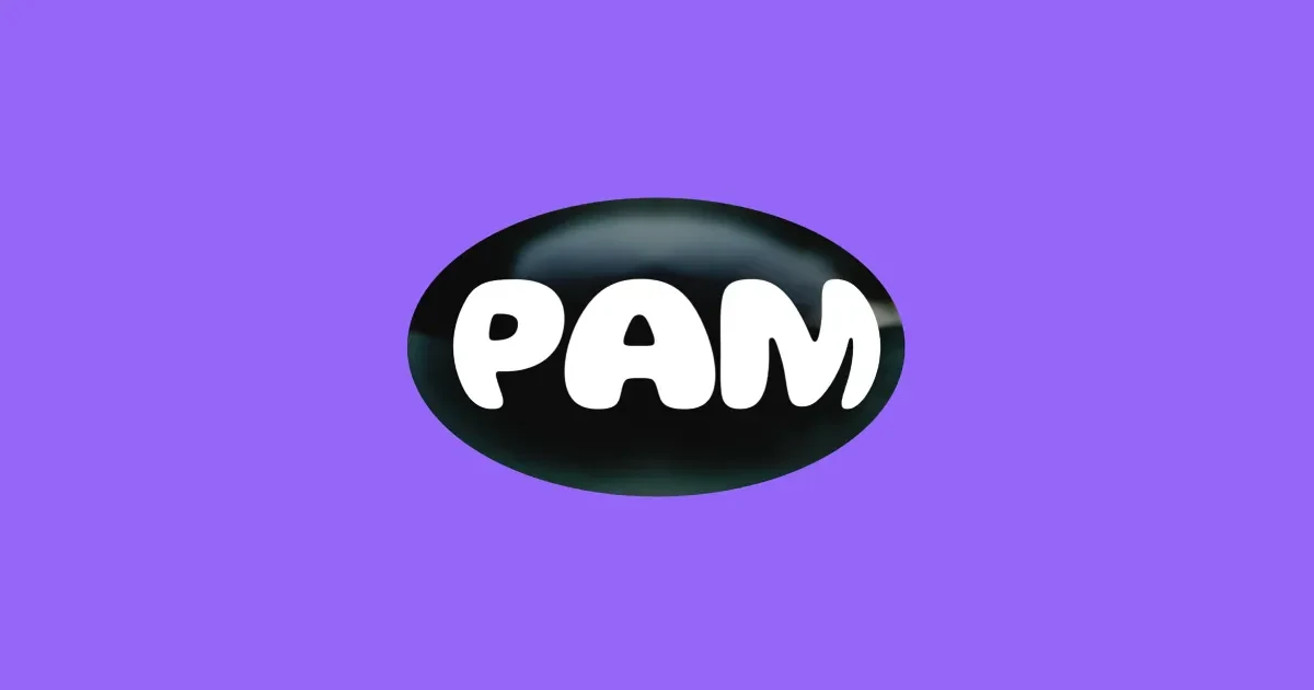PamPam website screenshot from Sitehunter