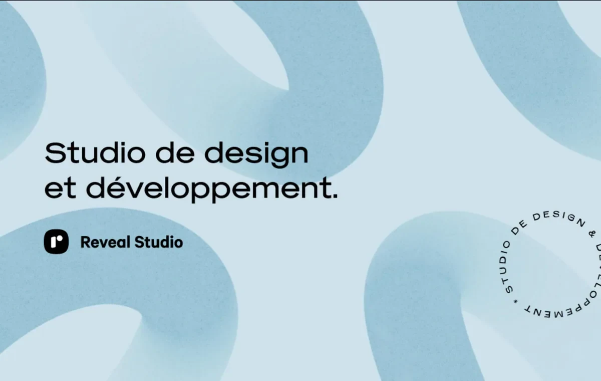 Reveal Studio website screenshot from Sitehunter